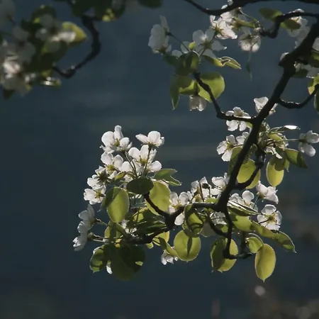 Oliver's House Sardinia * Flumini di Quartu