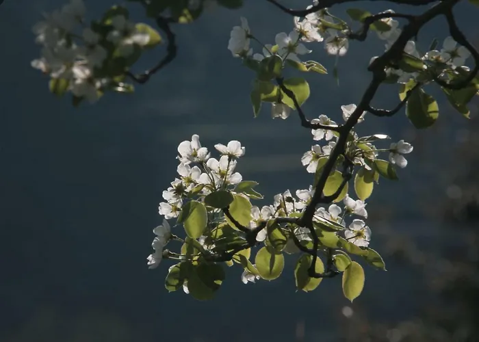 Oliver's House Sardinia * Flumini di Quartu